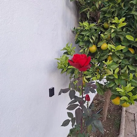 Villa Aires De Gibalto Málaga Esterno foto