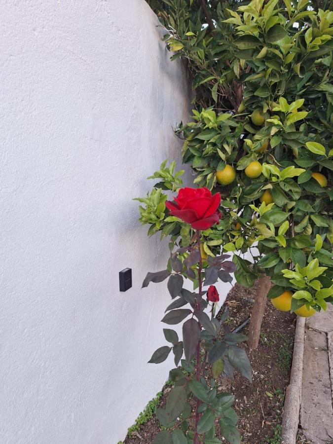 Aires De Gibalto Casa vacanze Málaga